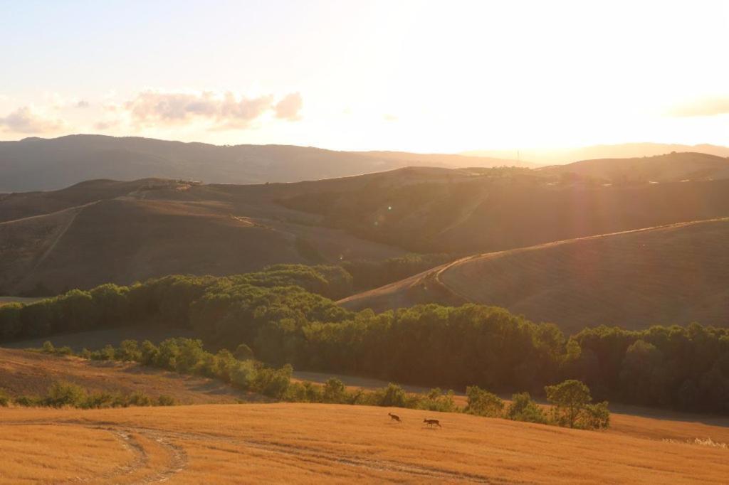 Agriturismo Fattoria Lischeto Вольтерра Экстерьер фото